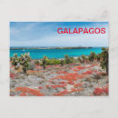Recherche de galapagos cartes postales Océan pacifique