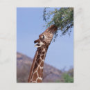 Recherche de kenya posters Vertical