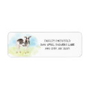 Recherche de anniversaire vache enveloppes accessoires Grange