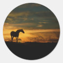 Recherche de beaux de cheval autocollants Équin