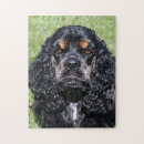 Recherche de cocker puzzles Dog