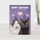 Recherche de deux chats vœux cartes Toute personne