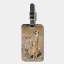 Recherche de sentinelle accessoires Animal