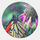 Recherche de spots autocollants Faune