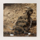 Recherche de cornes puzzles Toute personne