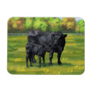 Recherche de veau magnets Animaux de ferme