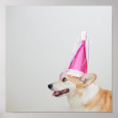 Recherche de animaux de bébé posters Corgi
