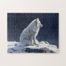 Recherche de renard blanc puzzles Mignon