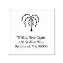 Recherche de saule Arbre à saule