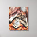 Recherche de orang outan art Pour tous