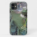 Recherche de alligator coques Vert