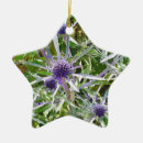 Recherche de sauvage ornements Fleurs sauvages
