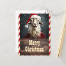 Recherche de funny christmas cartes postales Pour tous