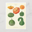 Recherche de courge posters Botanique