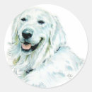 Recherche de anglais autocollants Chien