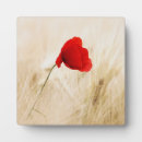 Recherche de herbe plaques Nature