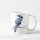 Recherche de blue jays tasses Animal