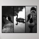 Recherche de golden gate park art Lac