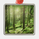 Recherche de kerry Nature
