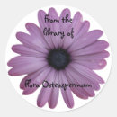Recherche de osteospermum Pour elle