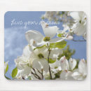 Recherche de cornouiller Fleurs