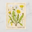 Recherche de dandelion posters Vintage