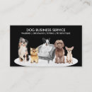 Recherche de canapé cartes visite Animal de compagnie