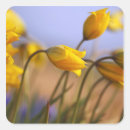 Recherche de marion autocollants Comté de marion