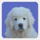 Recherche de polonais autocollants Blanc