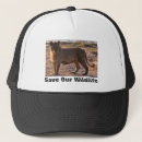 Recherche de faune casquettes Animal