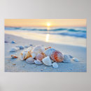 Recherche de corail turquoise posters Mer