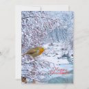 Recherche de oiseau dans la neige vœux cartes Scène de neige