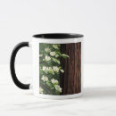 Recherche de fleur de cornouiller tasses Arbre