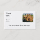 Recherche de reunion cartes visite Animal