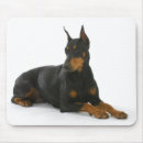 Recherche de poussette tapis souris Doberman