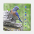 Recherche de repas magnets Pour elle