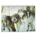 Recherche de loups calendriers Animaux sauvages