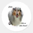 Recherche de chien colley autocollants Dog