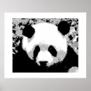 Recherche de panda chinois posters Animal