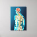 Recherche de dorsaux posters Transparent