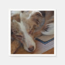 Recherche de merle serviettes Dog