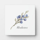 Recherche de botanique plaques Moderne