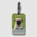 Recherche de pique nique accessoires Chien