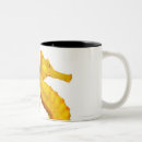 Recherche de deux image tasses Tir de studio