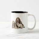 Recherche de de pure race tasses Animal familier
