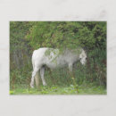Recherche de timide cartes postales Blanc