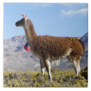 Recherche de argentin carreaux Andes