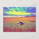 Recherche de peinture de tortue cartes postales Animal