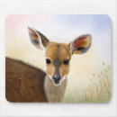 Recherche de antilopes tapis souris Safari
