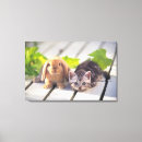 Recherche de chat avec le signe art Extérieur